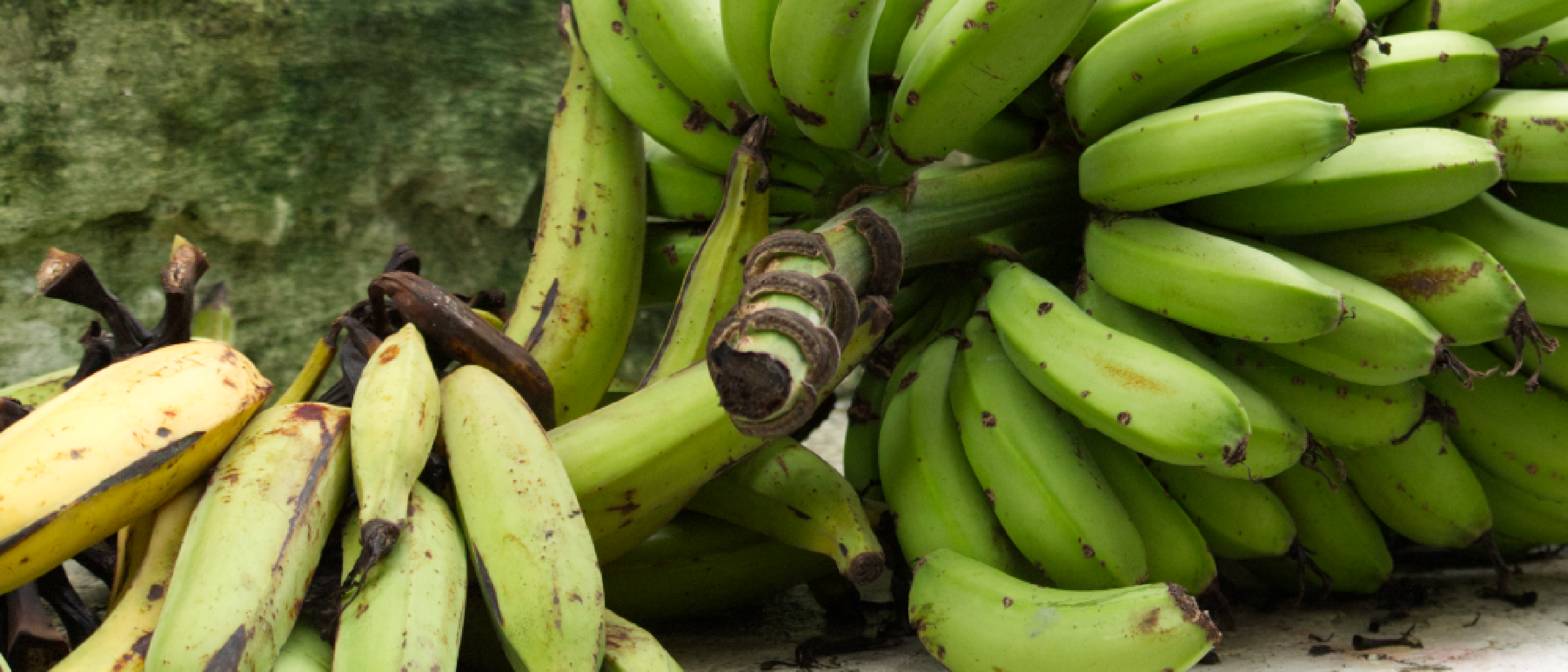 Ecuadorianische Zutaten in Deutschland finden: Dein Einkaufsguide