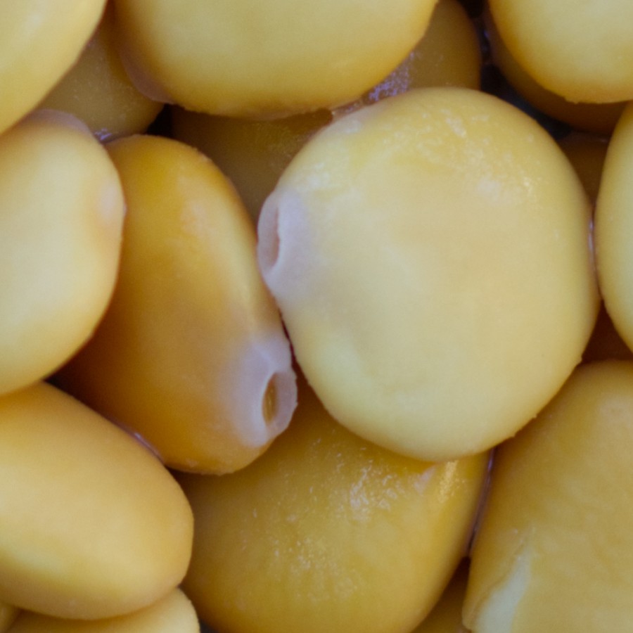 Lupinen